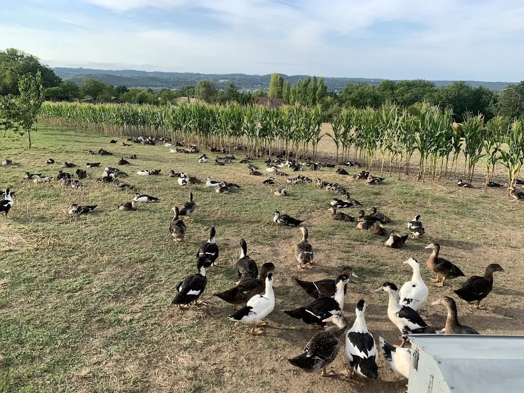 bruno Estelle_La Ferme de Grande Maison_Manoire_review