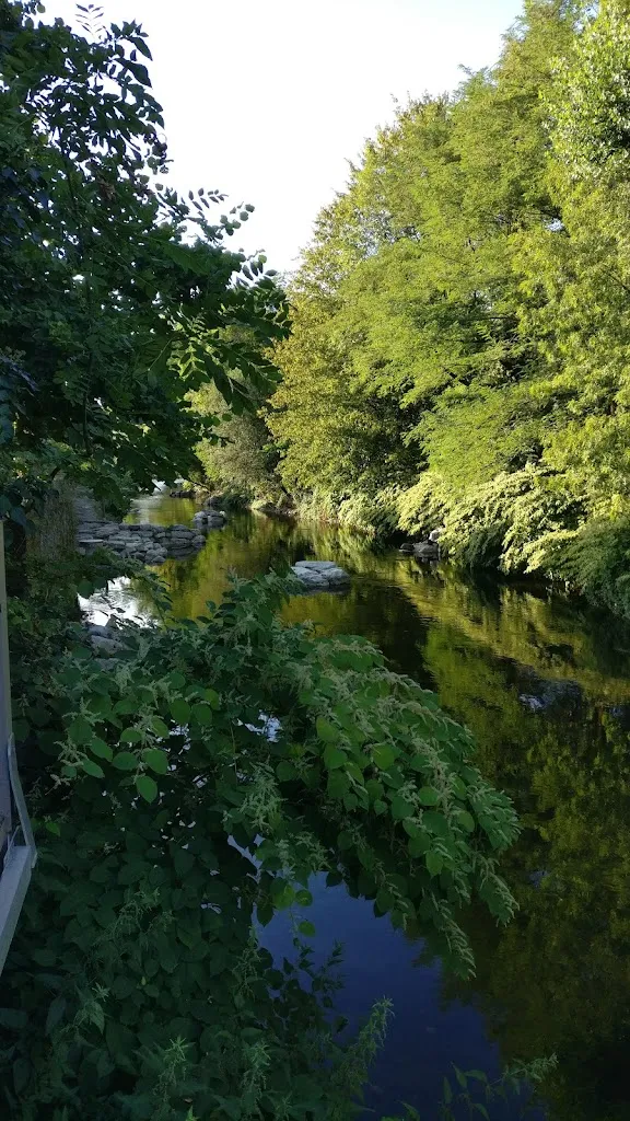 Chris Poole_Côté Dordogne_Beaulieu-sur-Dordogne_review