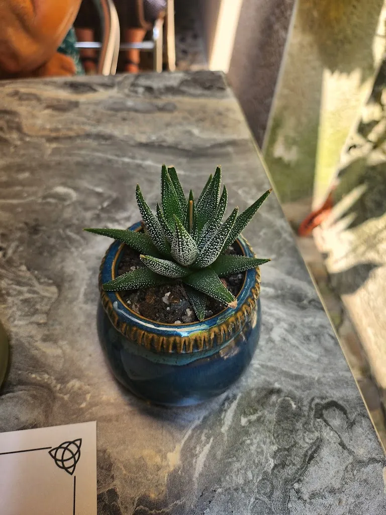 John Reilly_Le Beau Lieu Breton_Beaulieu-sur-Dordogne_review