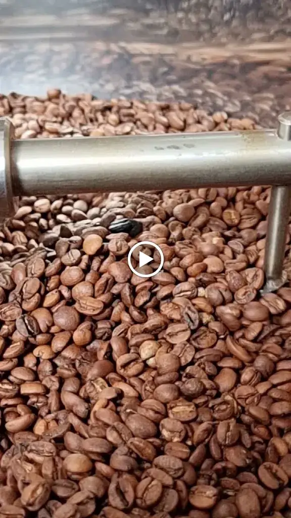 pilea.café - café, torréfaction, thés, petite restauration_Beaulieu-sur-Dordogne_slider_image_2