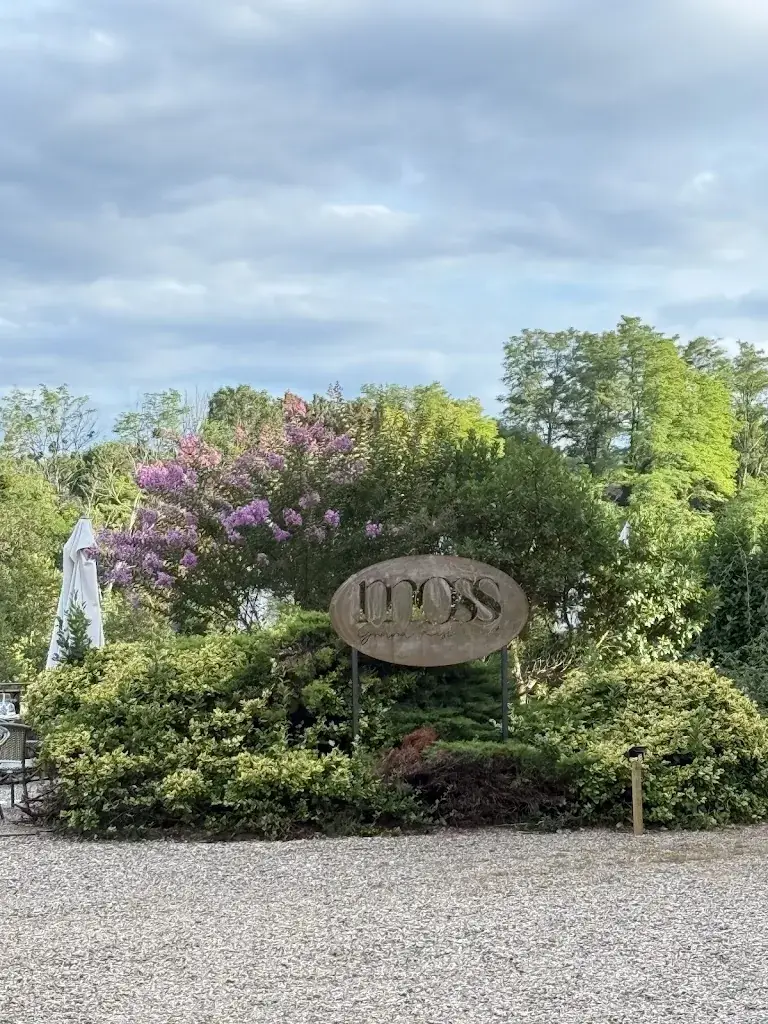 Nadine Bourg_Moss - Restaurant Bazas_Bazas_review