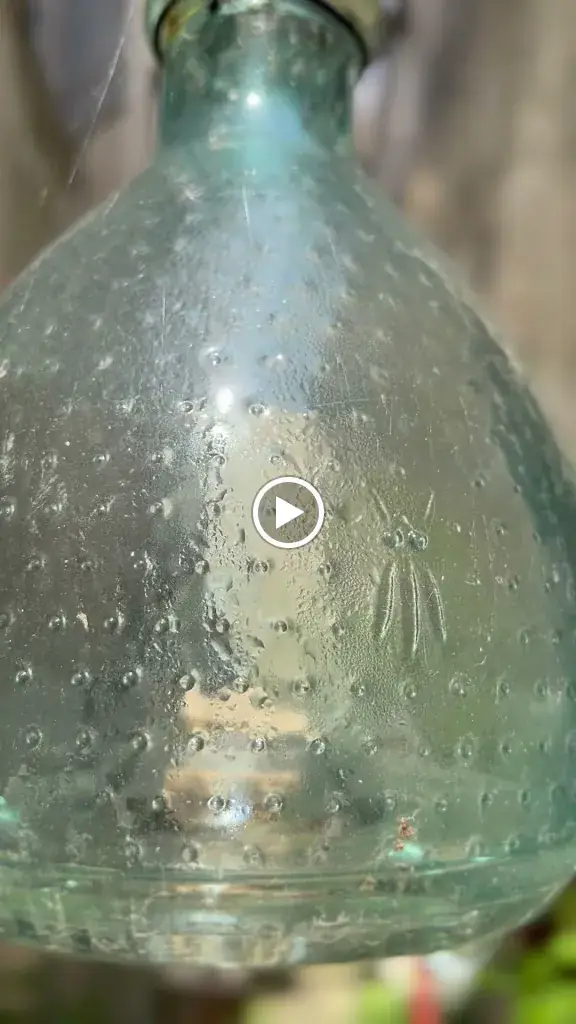 Cafe d'Oc_Bazas_slider_image_2