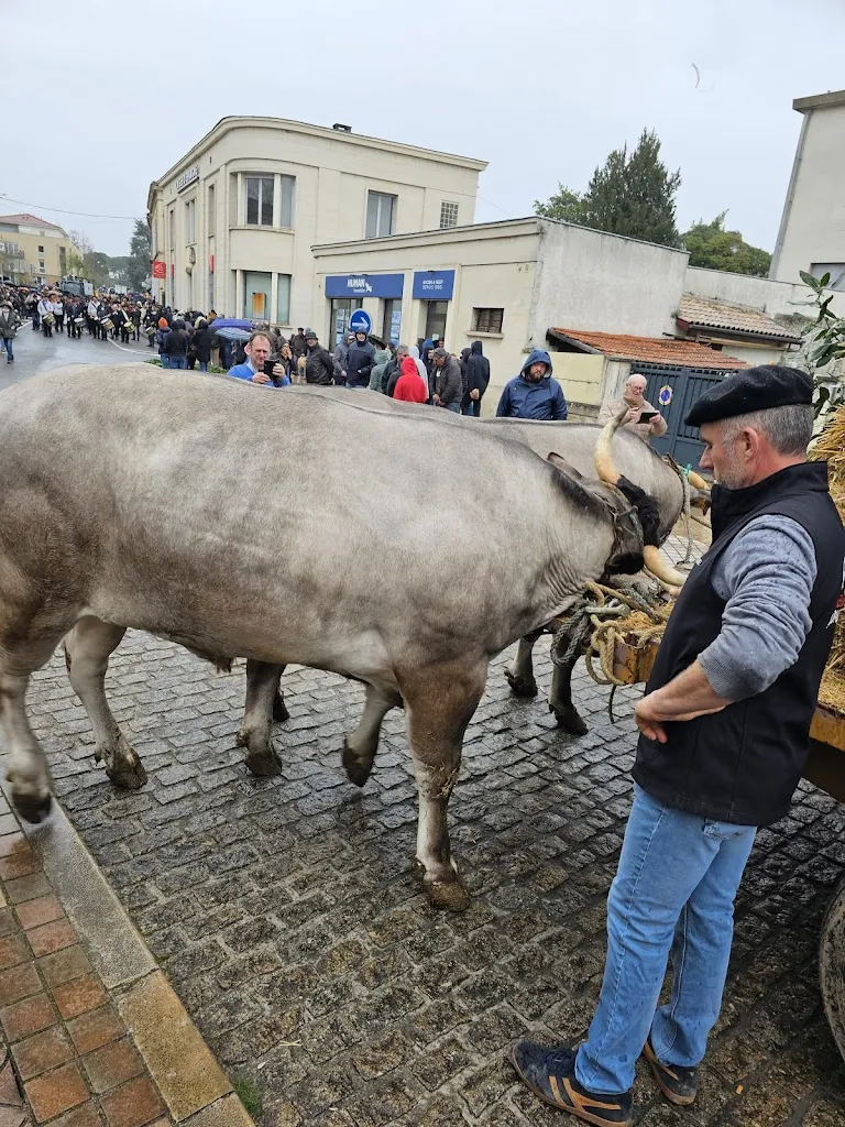 Nath & Fred_Bazas_slider_image_2