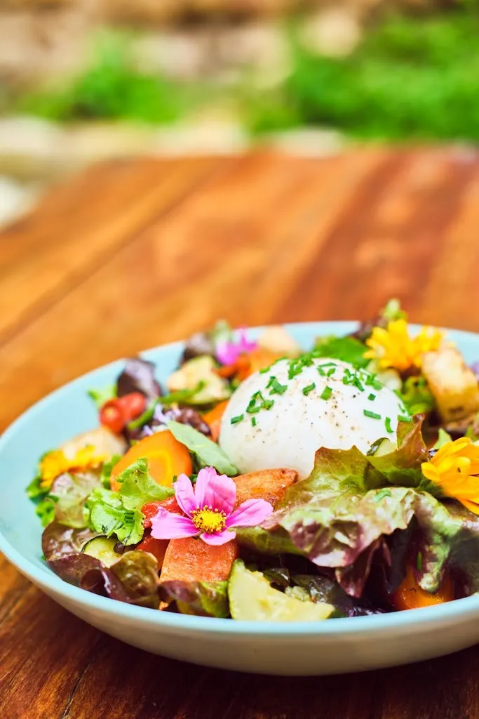 Menu_La Bougeotte_Saint-Avit-Sénieur_image_9