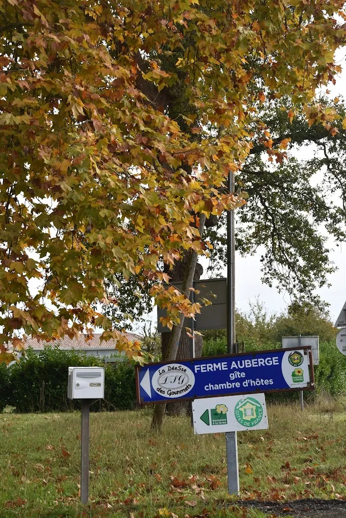 La déesse des gourmets_Cassen_slider_image_2