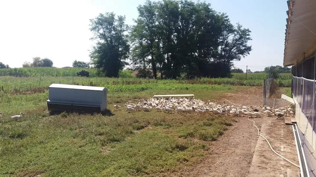 La déesse des gourmets_Cassen_slider_image_3