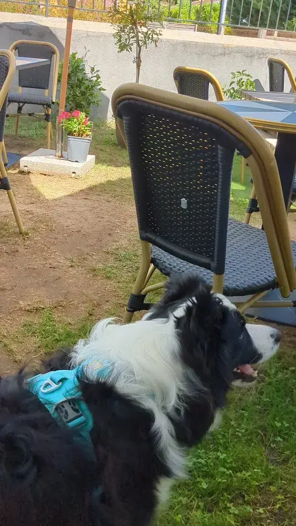 Bistro du Château_Salles_slider_image_2