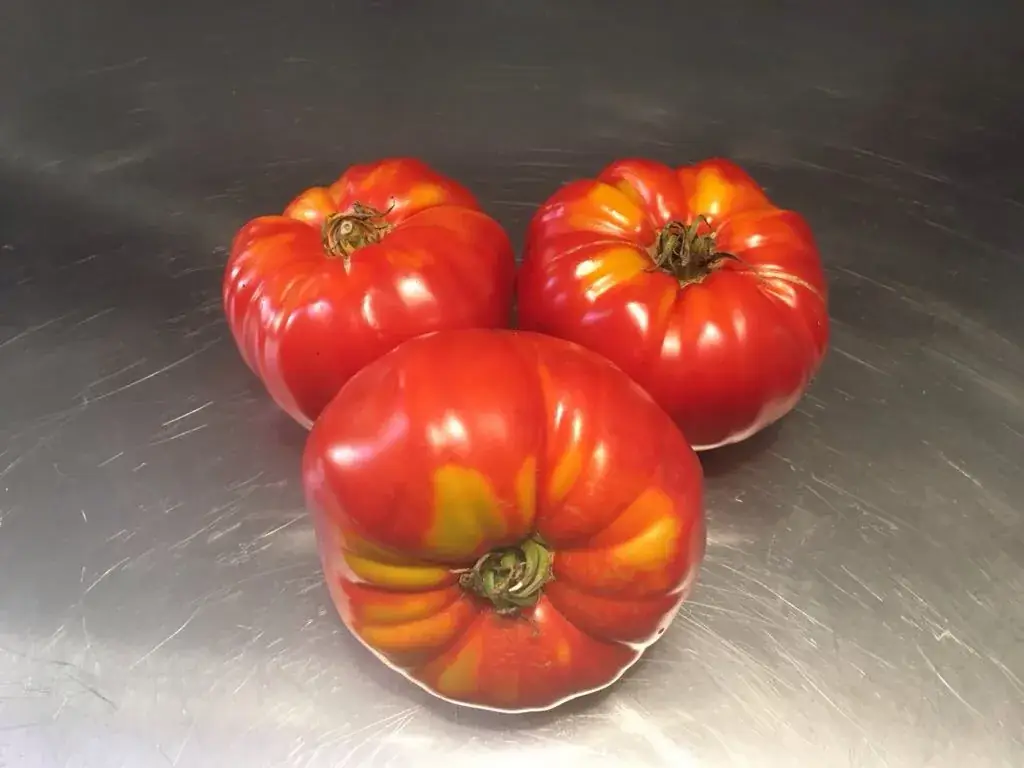 L'Echappée_Belvès_slider_image_2