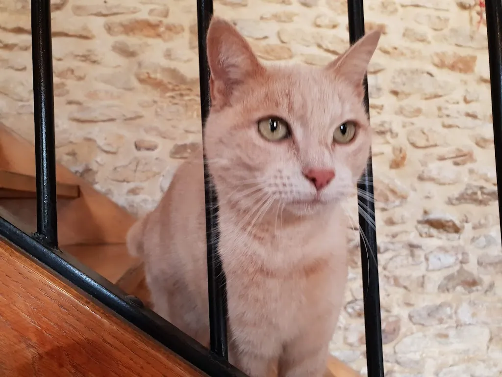 Claire_Le Veilleur d'Urval_Urval_recensione