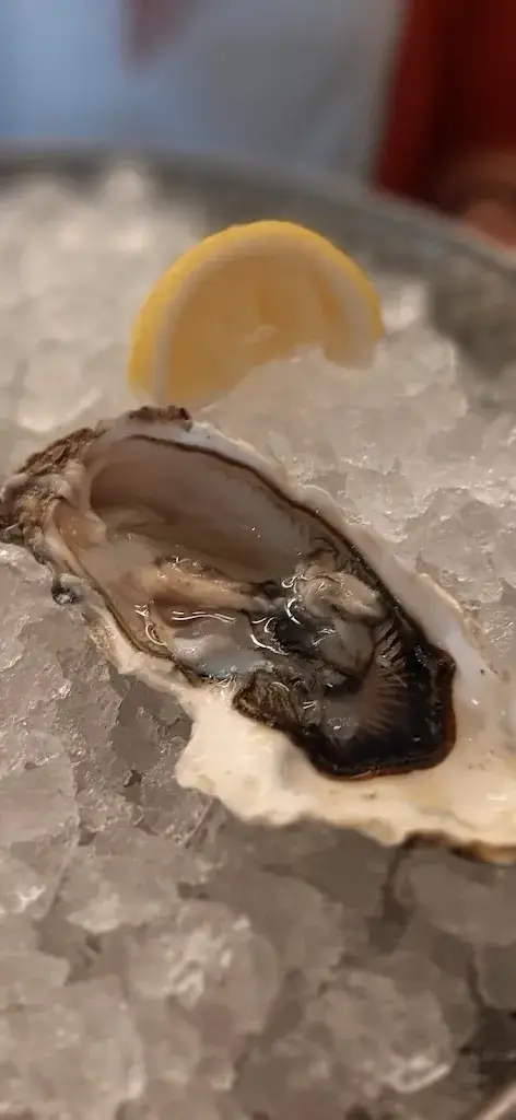 Christian von Luebke_Léon Fish Brasserie - Mont de Marsan_Saint-Pierre-du-Mont_review