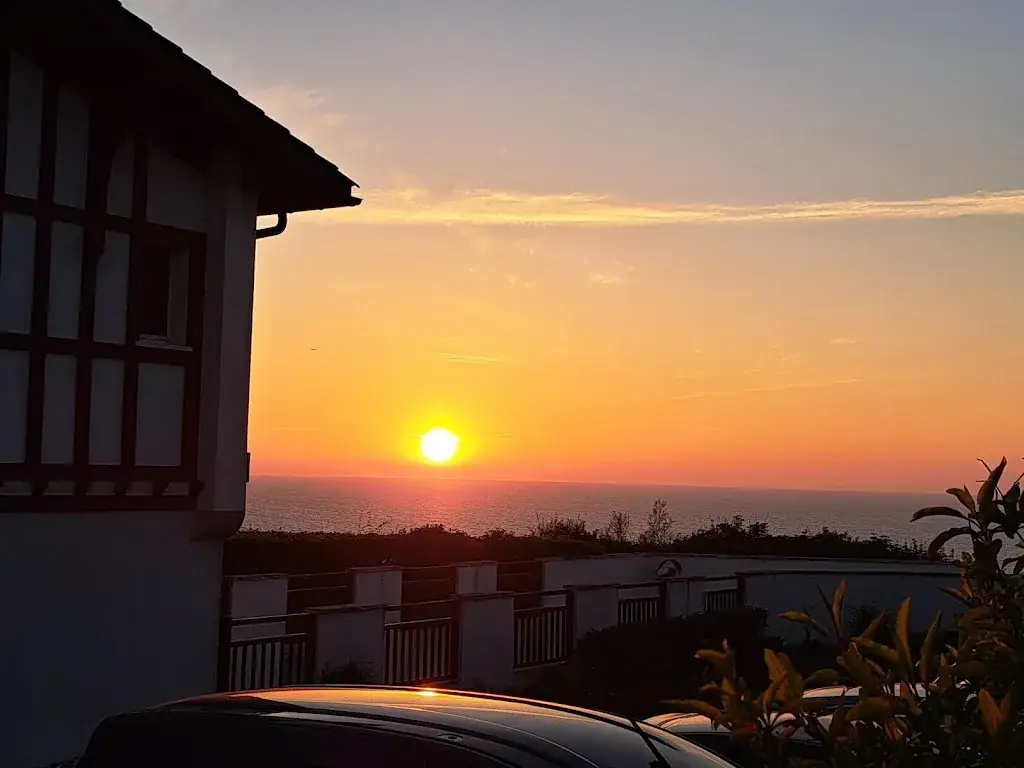 Becci Wilshire_Chixko_Bidart_review