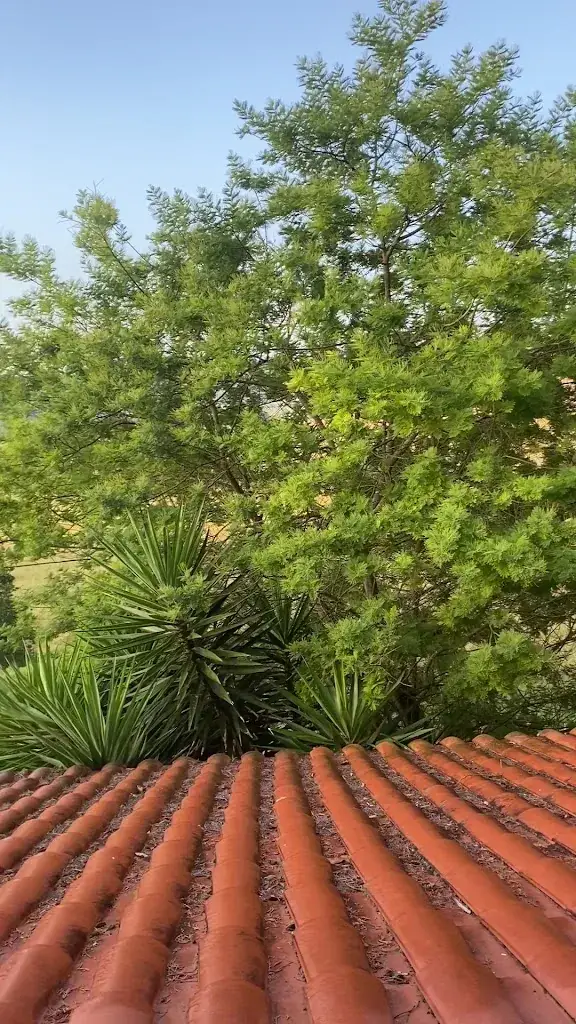 Miguel Ángel_CHAMBRES D HOTES GELOUS_Bidache_review