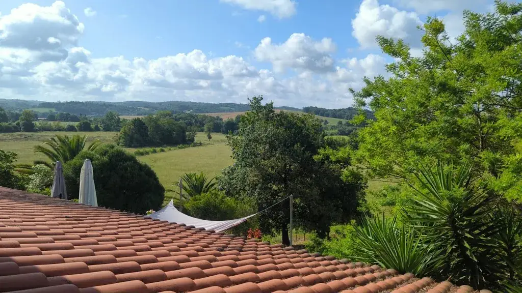 Ara Arzamendia_CHAMBRES D HOTES GELOUS_Bidache_review