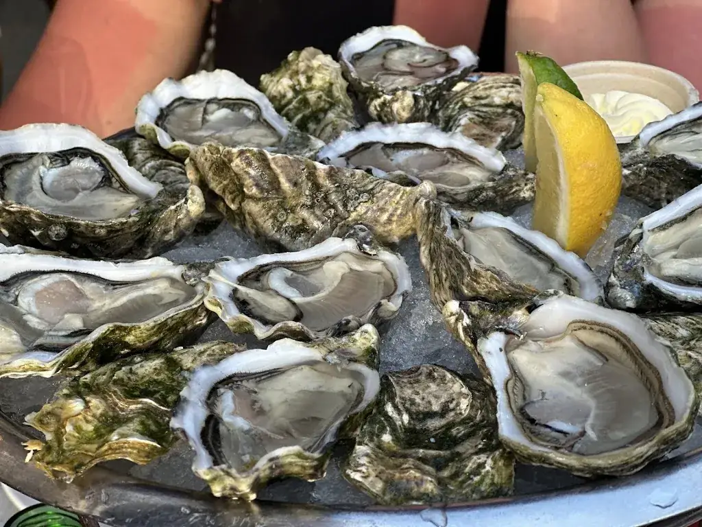 Tadeusz Woszczyński_Chistera & Coquillages_Biarritz_review