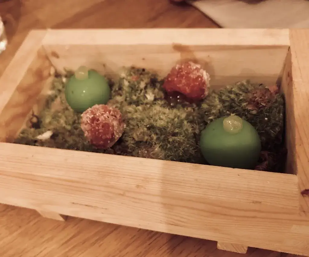 Firas Sarhan_Maynats_Pau_review