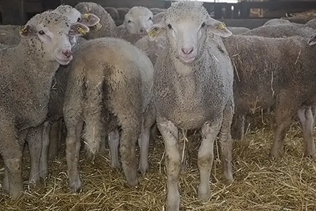 HAL'BILLERE_Billère_slider_image_3