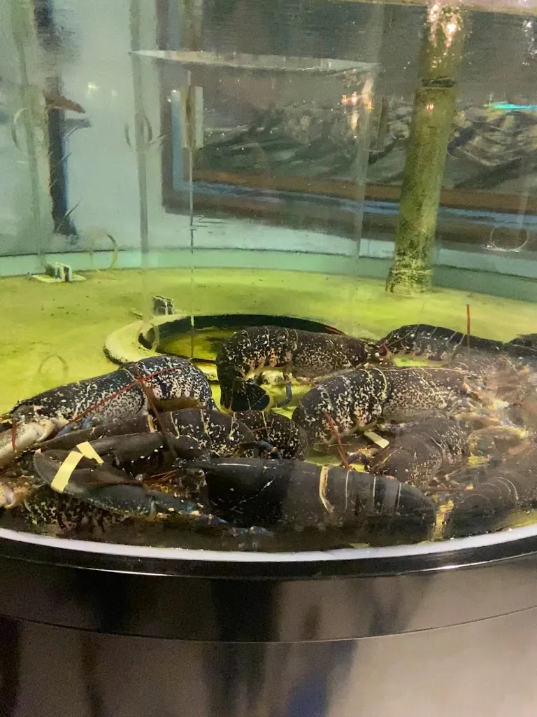 Sara R_Restaurant Cotes & Mer_Pau_review