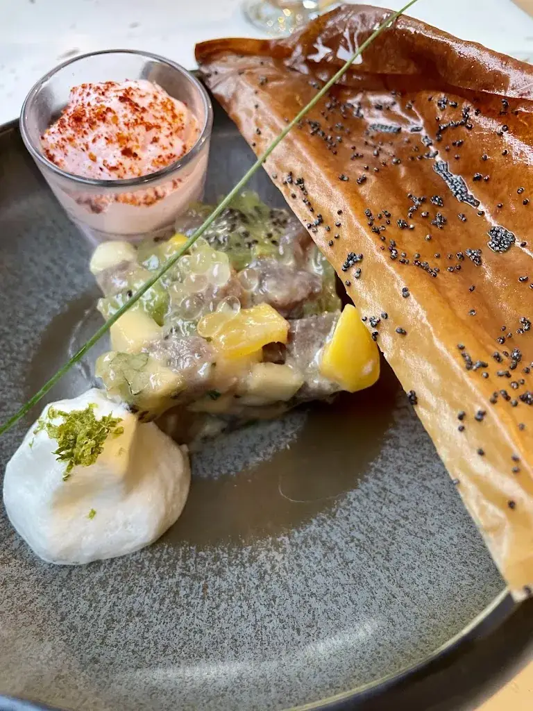 Catherine Van Duyn_L'annexe_Biscarrosse_review