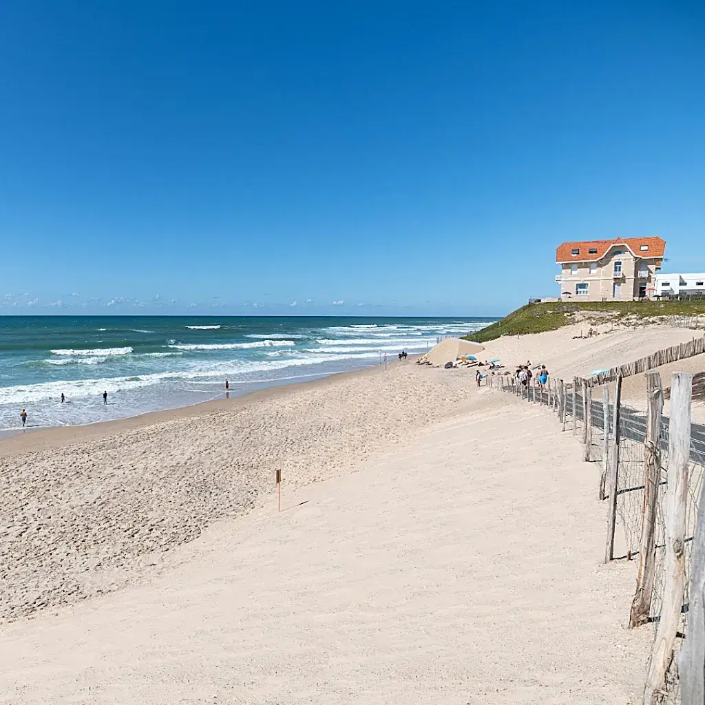 LA BRASSERIE DE LA PLAGE - BISCARROSSE PLAGE_Biscarrosse_slider_image_3