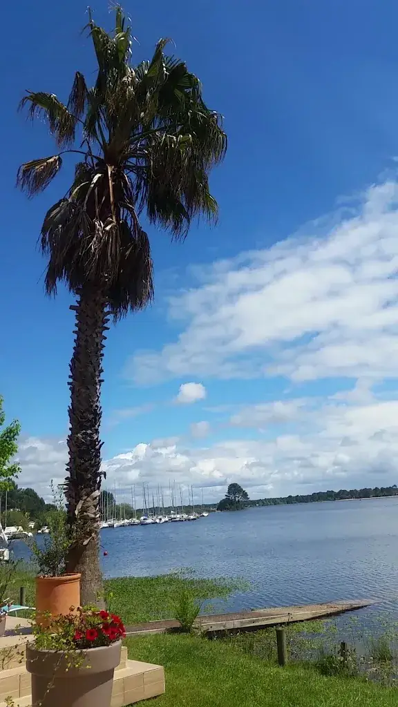 Hôtel restaurant La Caravelle Baie d'Ispe_Biscarrosse_slider_image_2