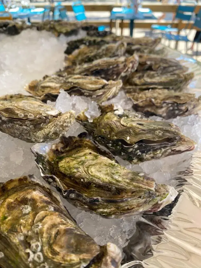 L’Ostrea Biscarrosse_Biscarrosse_slider_image_2