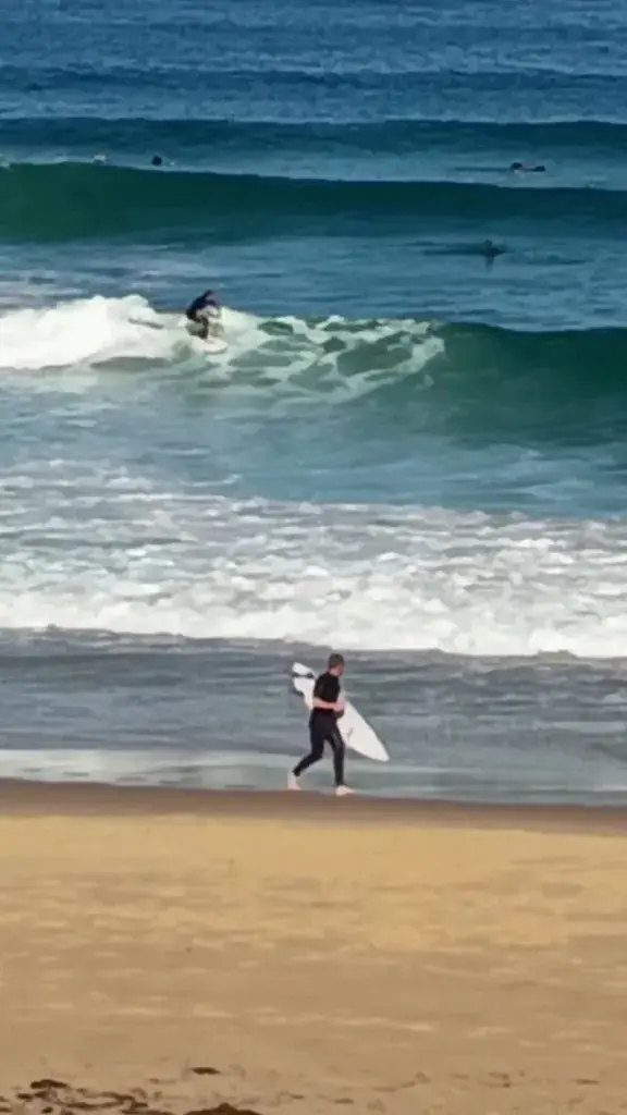 Maymayoo_Dream Beach_Biscarrosse_review