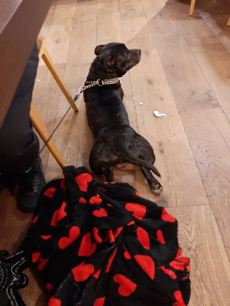 Amandine Sissung_MEUH ! Restaurant Le Vigen_Vigen_review