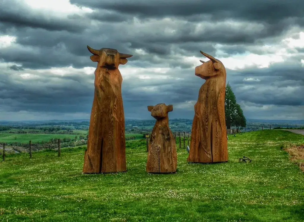 Limousine Park_Boisseuil_slider_image_3