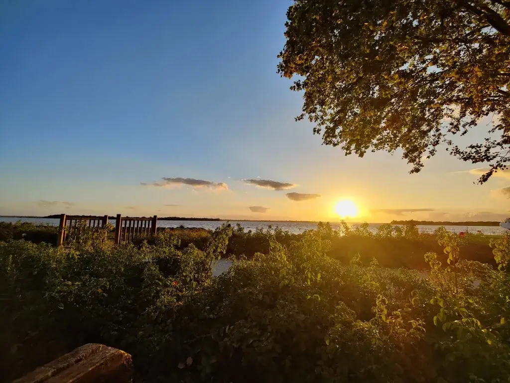 Ralph De Groot_ESTI'BUS_Blaye_review