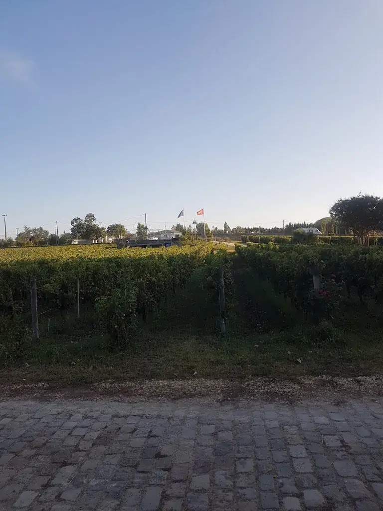 Nigel Broster_Marquis de Vauban Castle_Blaye_review