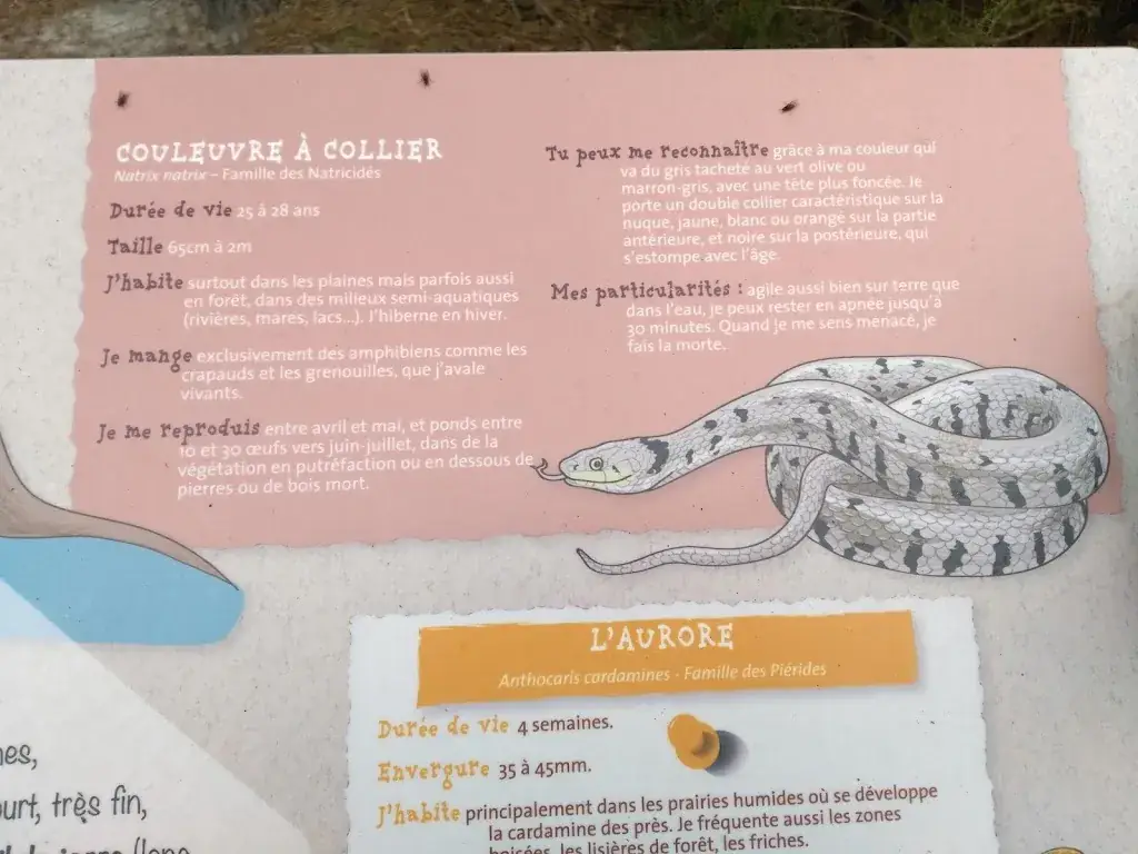 Menu_La popote du lac_Saint-Christoly-de-Blaye_image_1