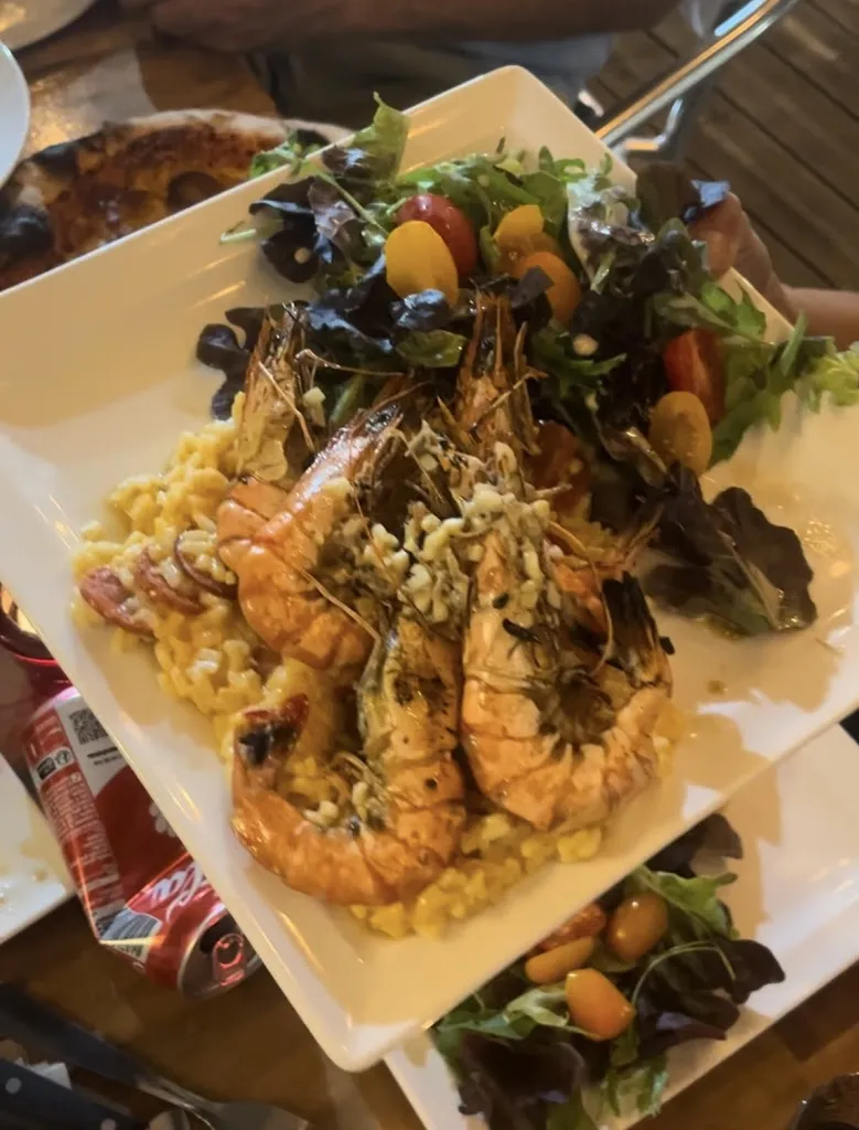 ali shokouh_La Terrasse de Bouliac_Bouliac_recensione