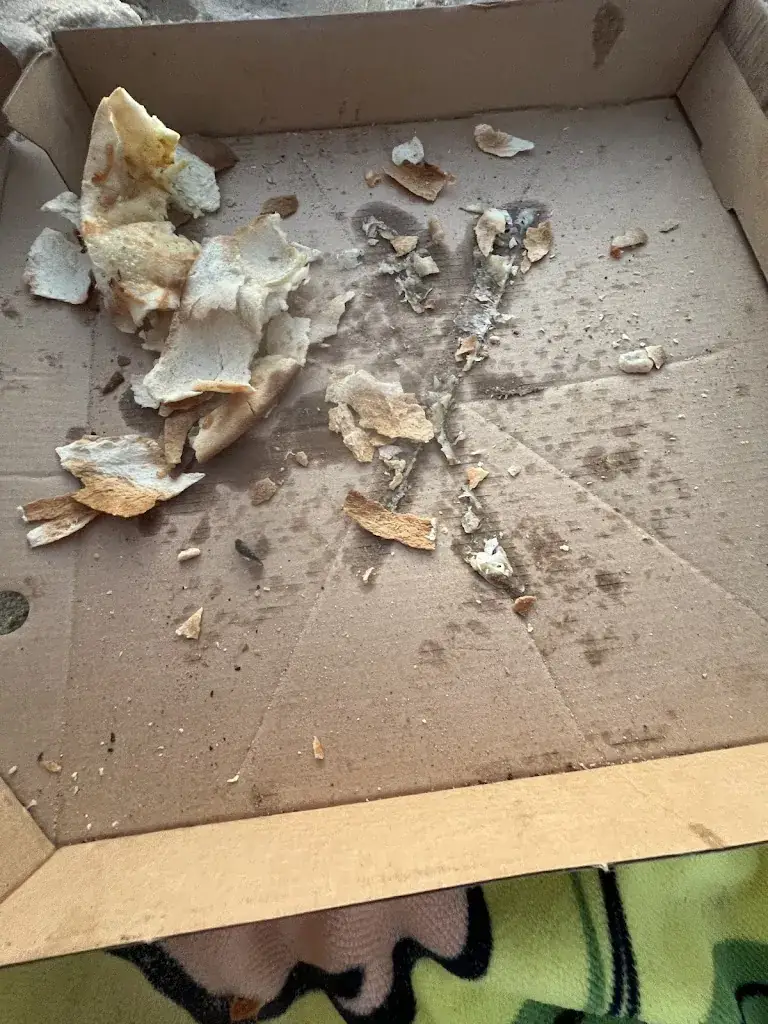 Maxence Lamaignère_Chez Alex vieux boucau_Vieux-Boucau-les-Bains_review