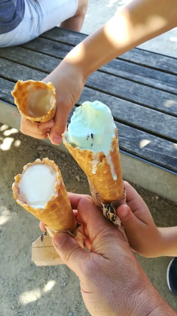 Menu_COCONUTS - Glacier Vieux-Boucau_Vieux-Boucau-les-Bains_image_8