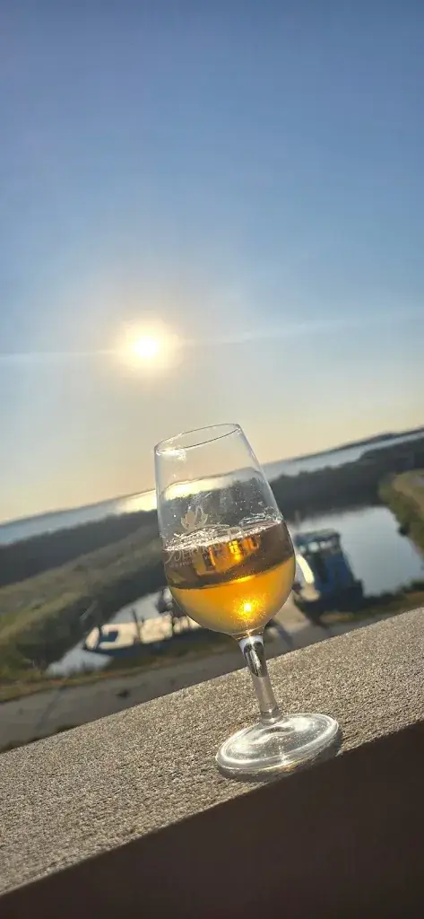 Fabrice Wininger_Ô de Frères_Bourcefranc-le-Chapus_Bewertung