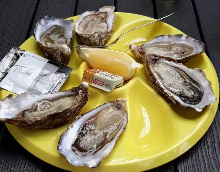Menu_Bar à Huîtres Le Møllin par l'huître de la Pointe_Bourcefranc-le-Chapus_image_5