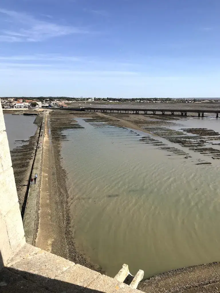 Peter Pestel_Bar à Huîtres Le Møllin par l'huître de la Pointe_Bourcefranc-le-Chapus_review