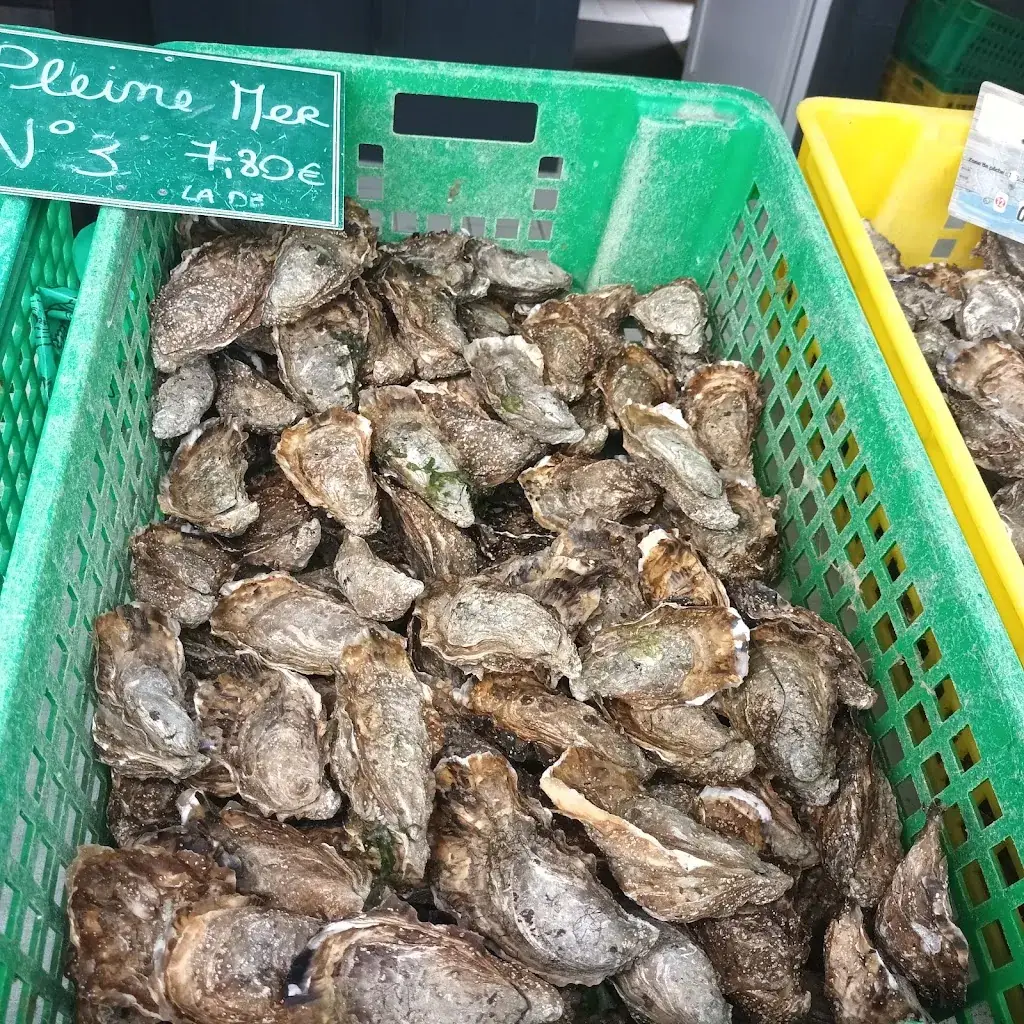 Menu_Au Gre Du Vent_Bourcefranc-le-Chapus_image_3