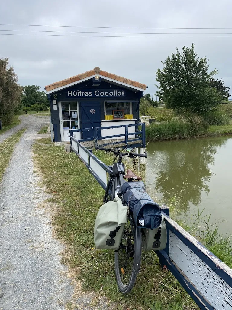 Aline Loy_BOUTIQUE & BAR À HUITRES COCOLLOS_Bourcefranc-le-Chapus_review