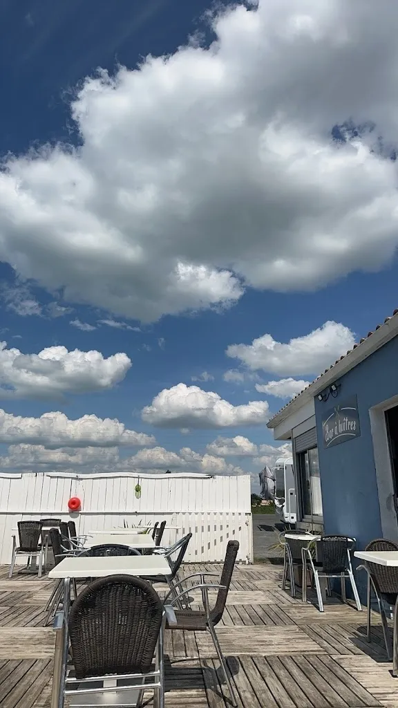 jingping shang_BOUTIQUE & BAR À HUITRES COCOLLOS_Bourcefranc-le-Chapus_review