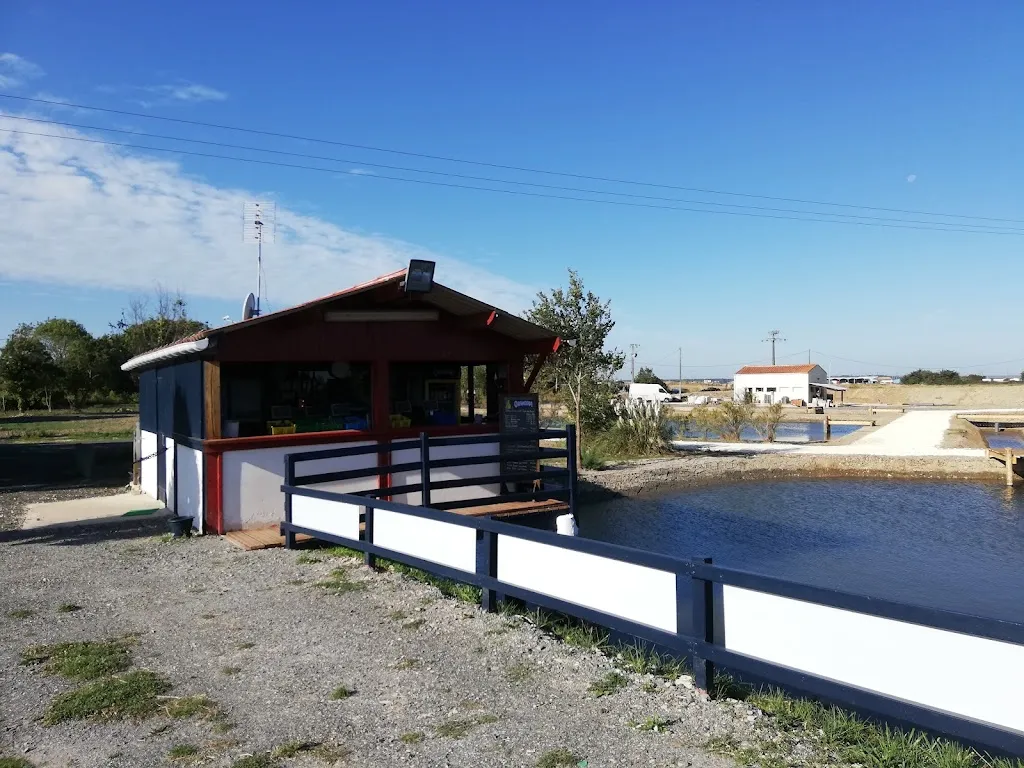 Martine Ganne_BOUTIQUE & BAR À HUITRES COCOLLOS_Bourcefranc-le-Chapus_review