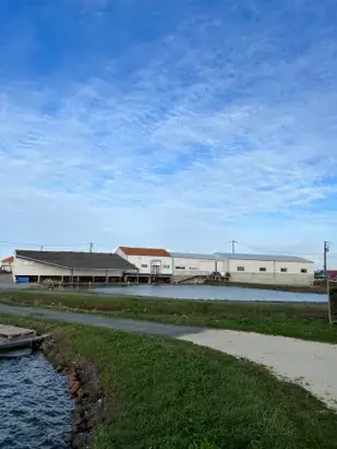 Huîtres Breuil - Marennes Oléron restaurant in Bourcefranc-le-Chapus