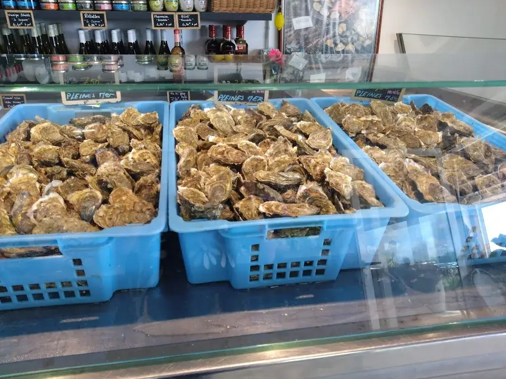 Natasa B._La Roue Tourne_Saint-Georges-d'Oléron_review