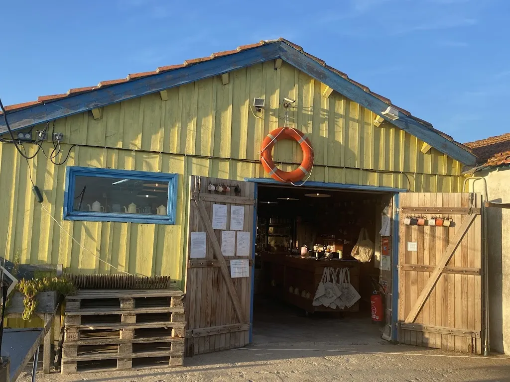 17 FORT-ROYER Dégustation_Saint-Pierre-d'Oléron_slider_image_1