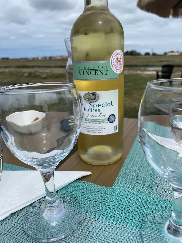 Carine Verjeijen_La cabane de Batifou_Dolus-d'Oléron_review