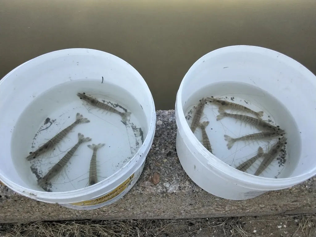 La cabane de Batifou_Dolus-d'Oléron_slider_image_3