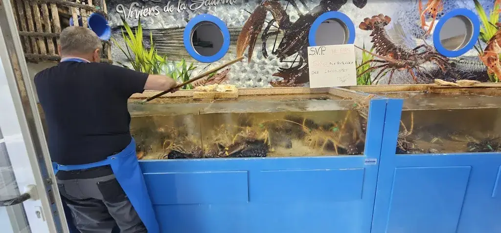 Matthieu Lorimier_Les Viviers de la Saurine_Saint-Georges-d'Oléron_review