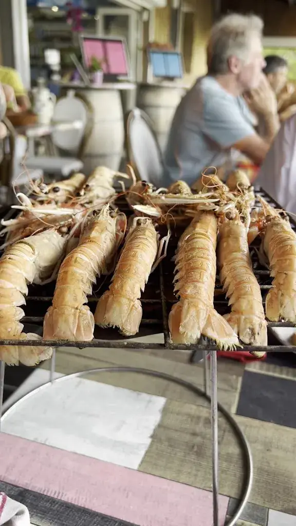 Les Viviers de la Saurine_Saint-Georges-d'Oléron_slider_image_2