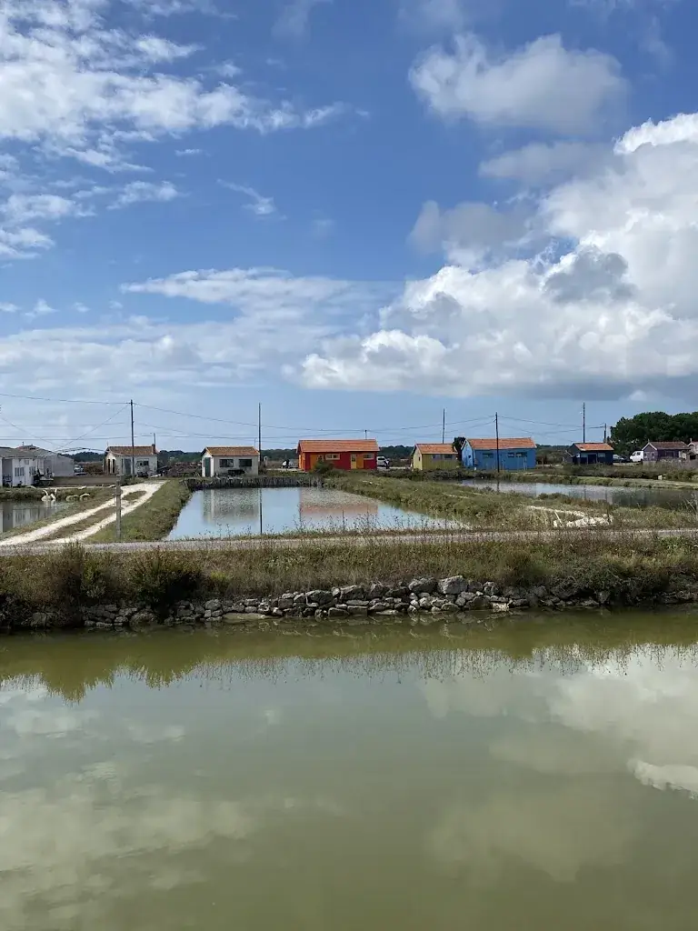 Fi S_La Moule à Facettes Dégustation_Dolus-d'Oléron_review