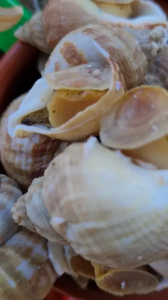 La Moule à Facettes Dégustation_Dolus-d'Oléron_slider_image_2